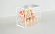 Acrylic Display Case I6