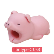 CABLE BITE for Type-C USB R5