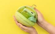 SMISKI Cushion Pouch Y6