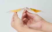 Papillon Origami Airplanes E4