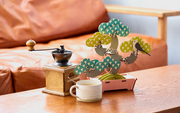 Play Plants Bonsai Puzzles K6