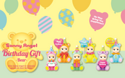 Birthday Gift Bear Series Z4