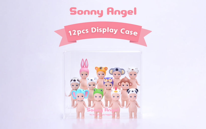 Acrylic Display Case I6