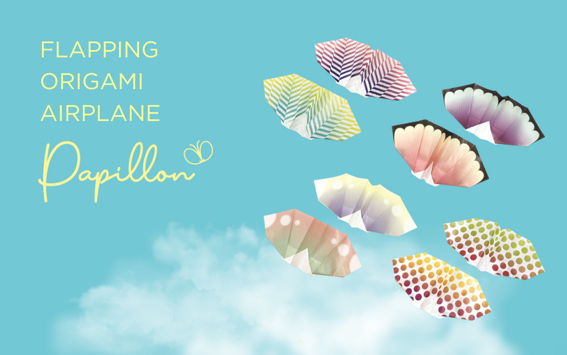 Papillon Origami Airplanes E4