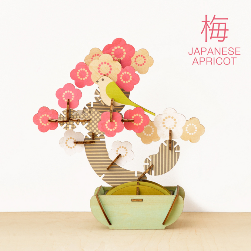 Play Plants Bonsai Puzzles K6